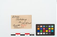 Etikett zu Bronzespinnrocken (NHMW-PRAE-025193)